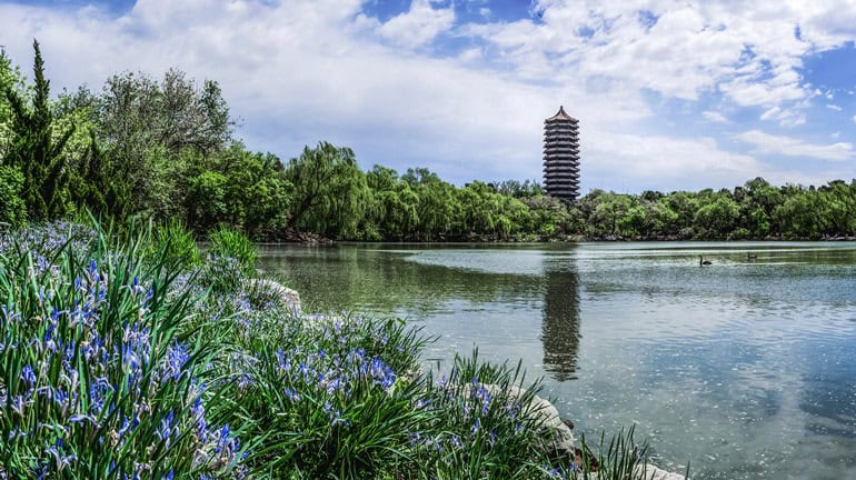 Peking University Far Shot