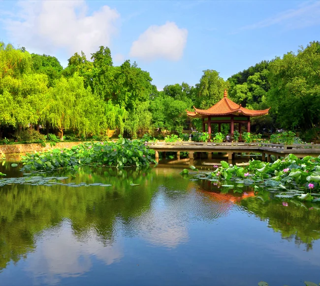 HUST Lake View
