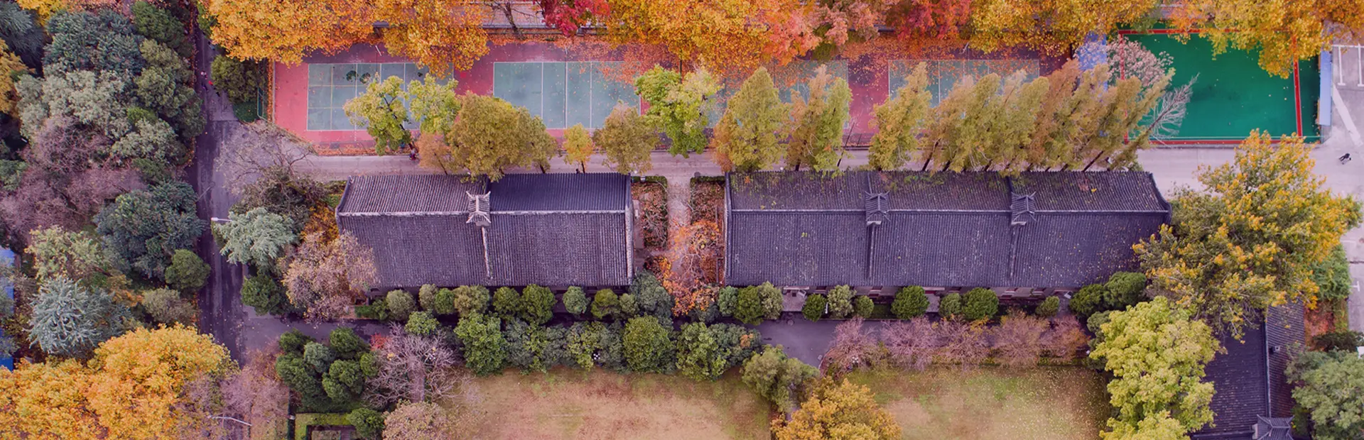 Nanjing University Birds Eye view