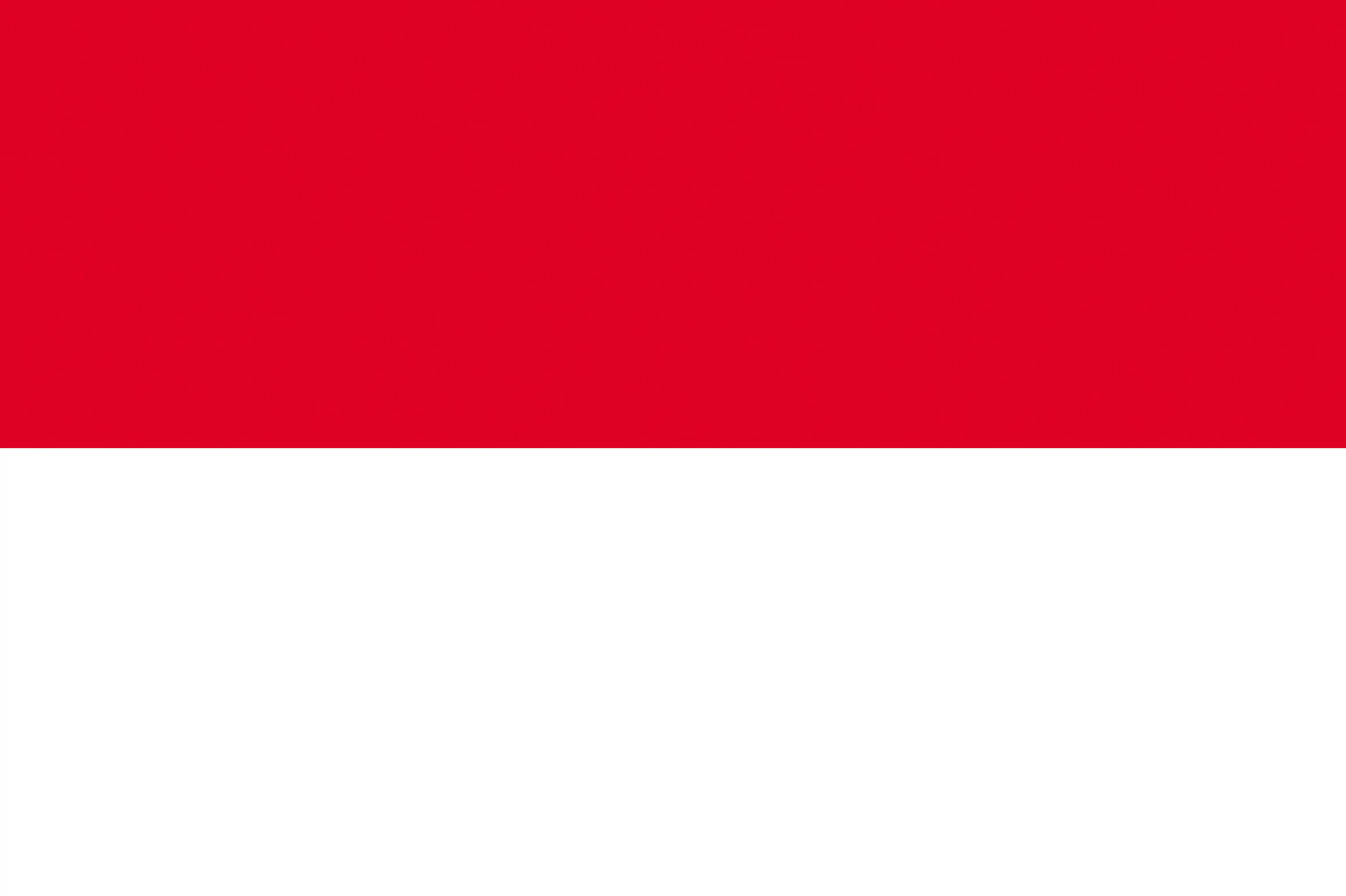 indonesia flag
