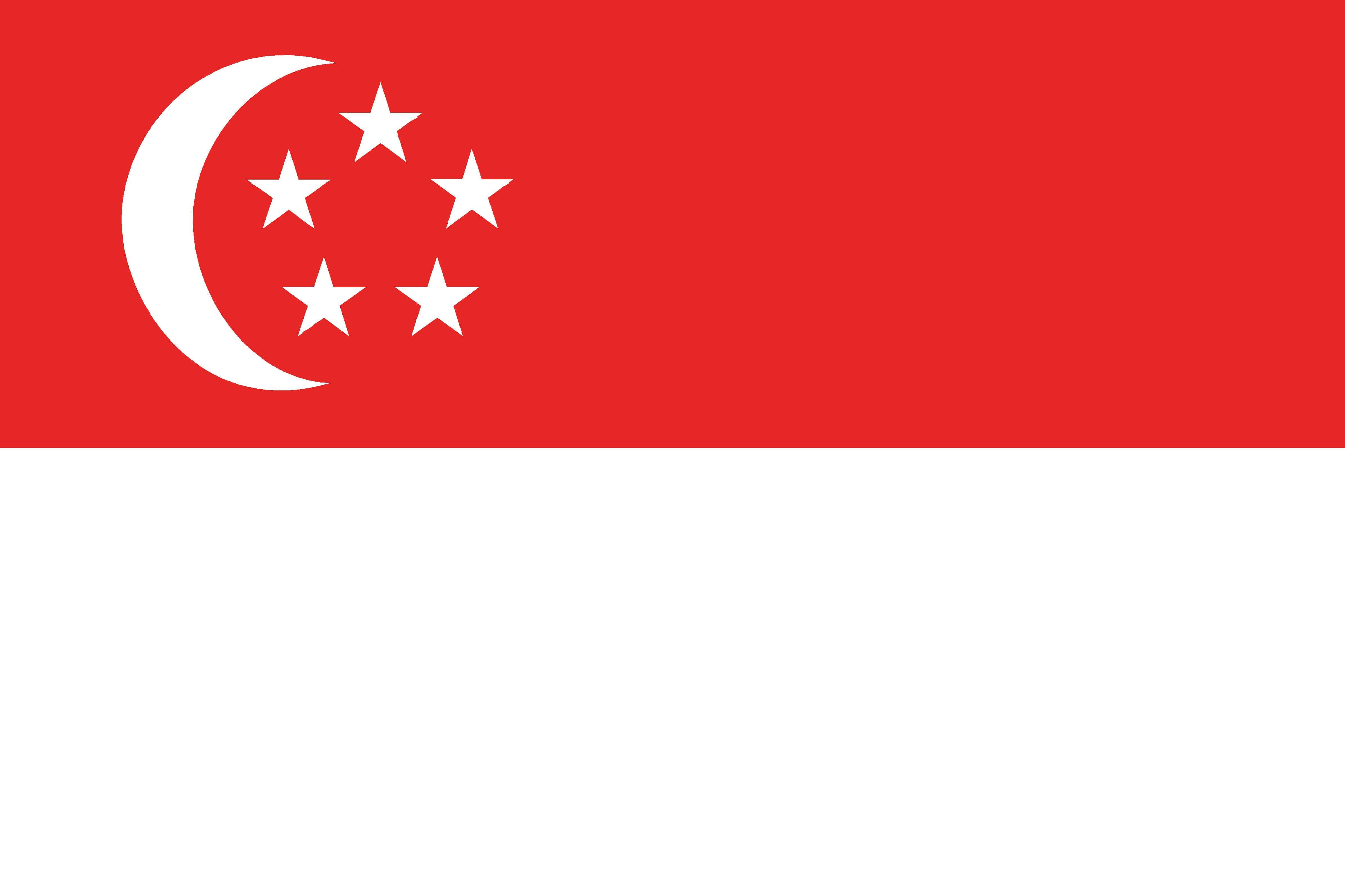 Singapore flag