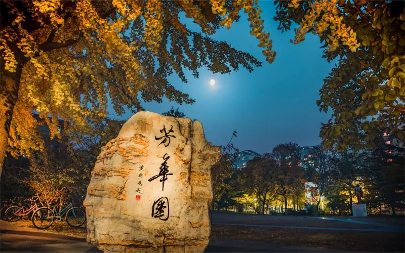 Beijing Jiaotong University Rock