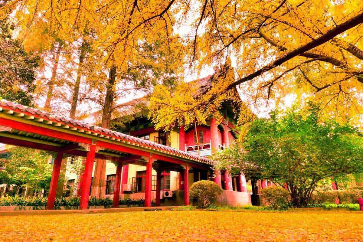 Nanjing Normal University Yellow Leaves and Traditional Building