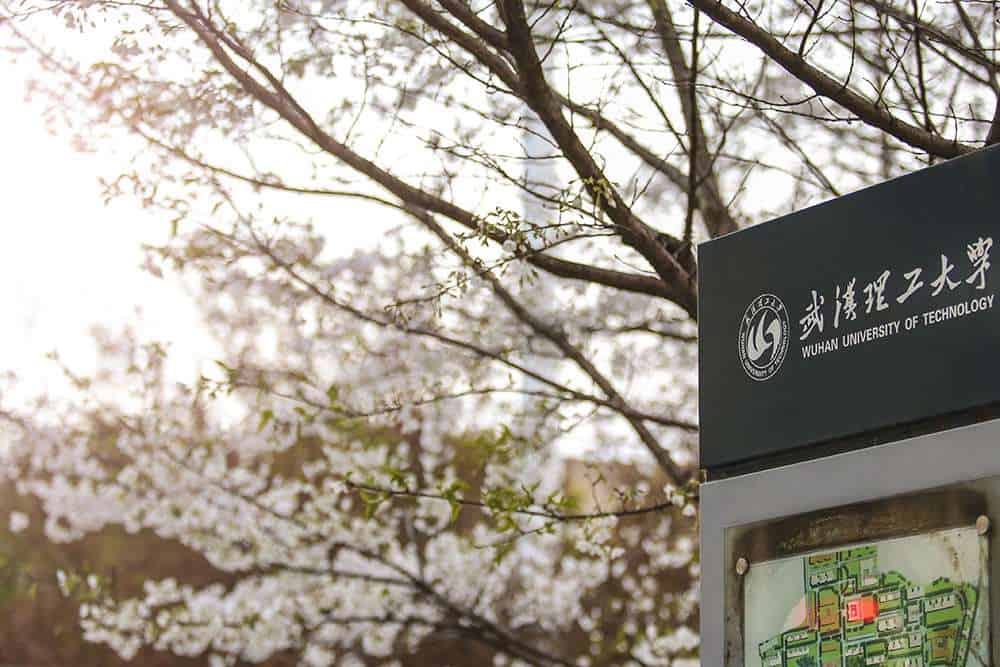 Wuhan University of Technology signboard and the cherry blossoms