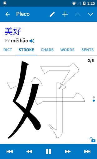 Screenshot of the Pleco Chinese dictionary app displaying the characters 美好 (měihǎo) with a stroke order animation.