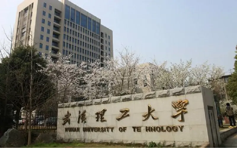 Wuhan University of Technology Rock