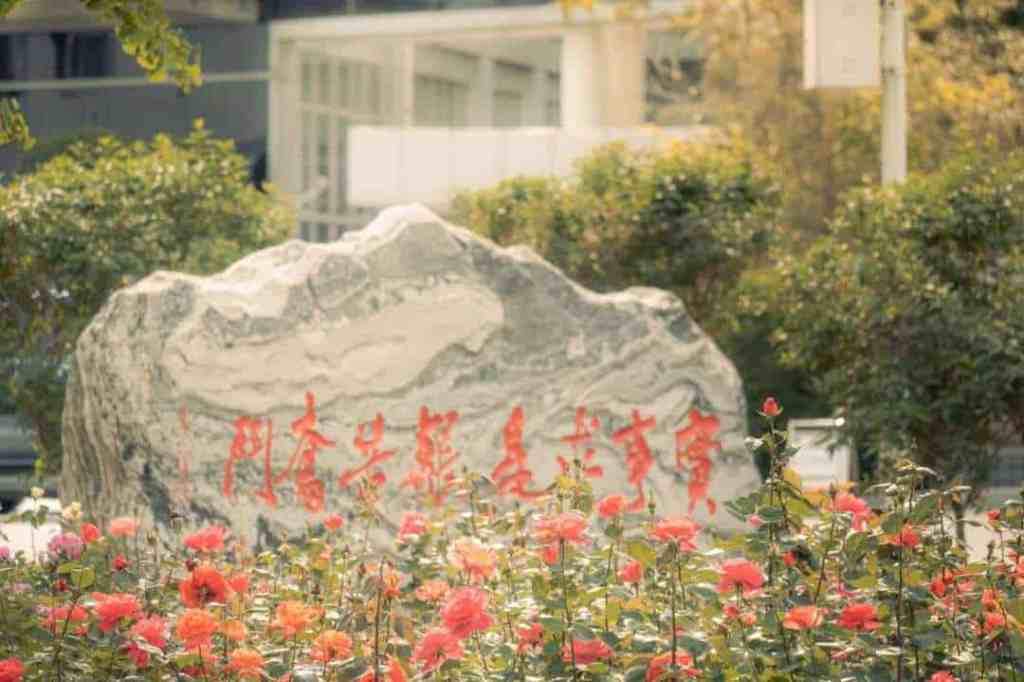 China University of Mining & Technology-Beijing rock