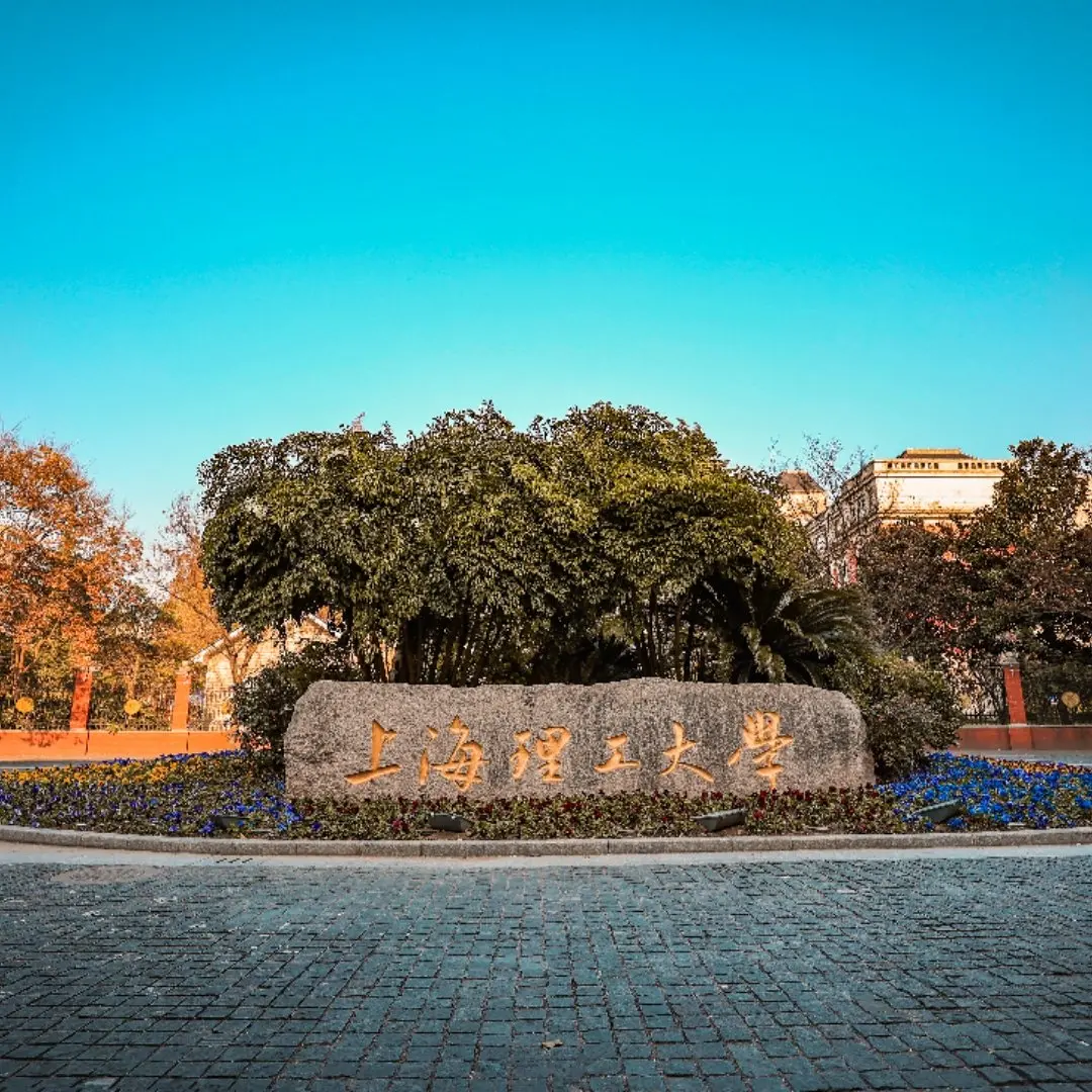 University of Shanghai for Science and Technology Rock