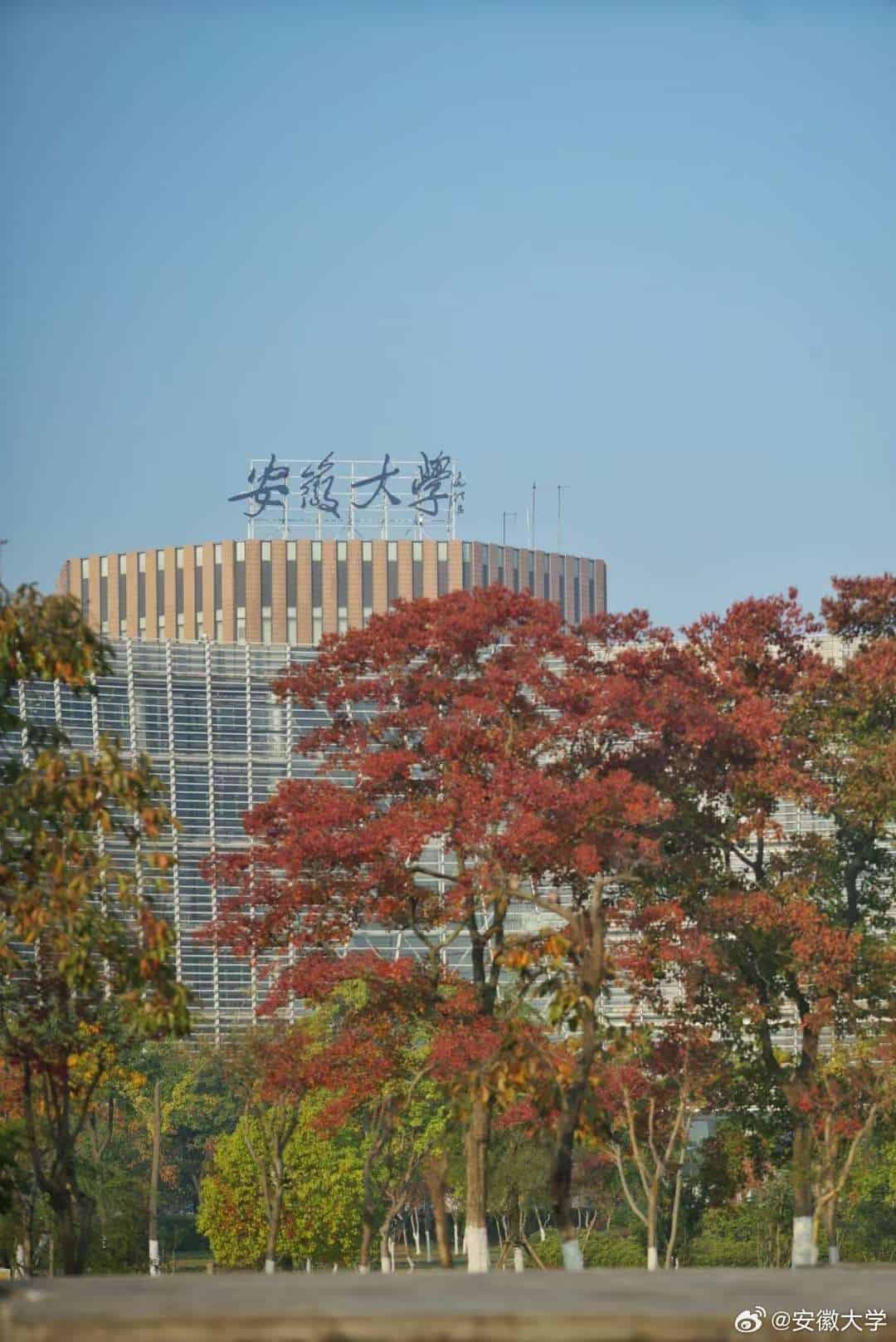 Anhui University Building