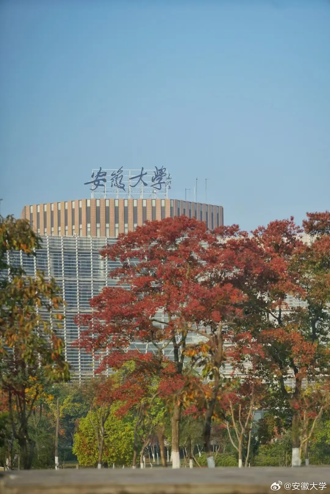 Anhui University Building