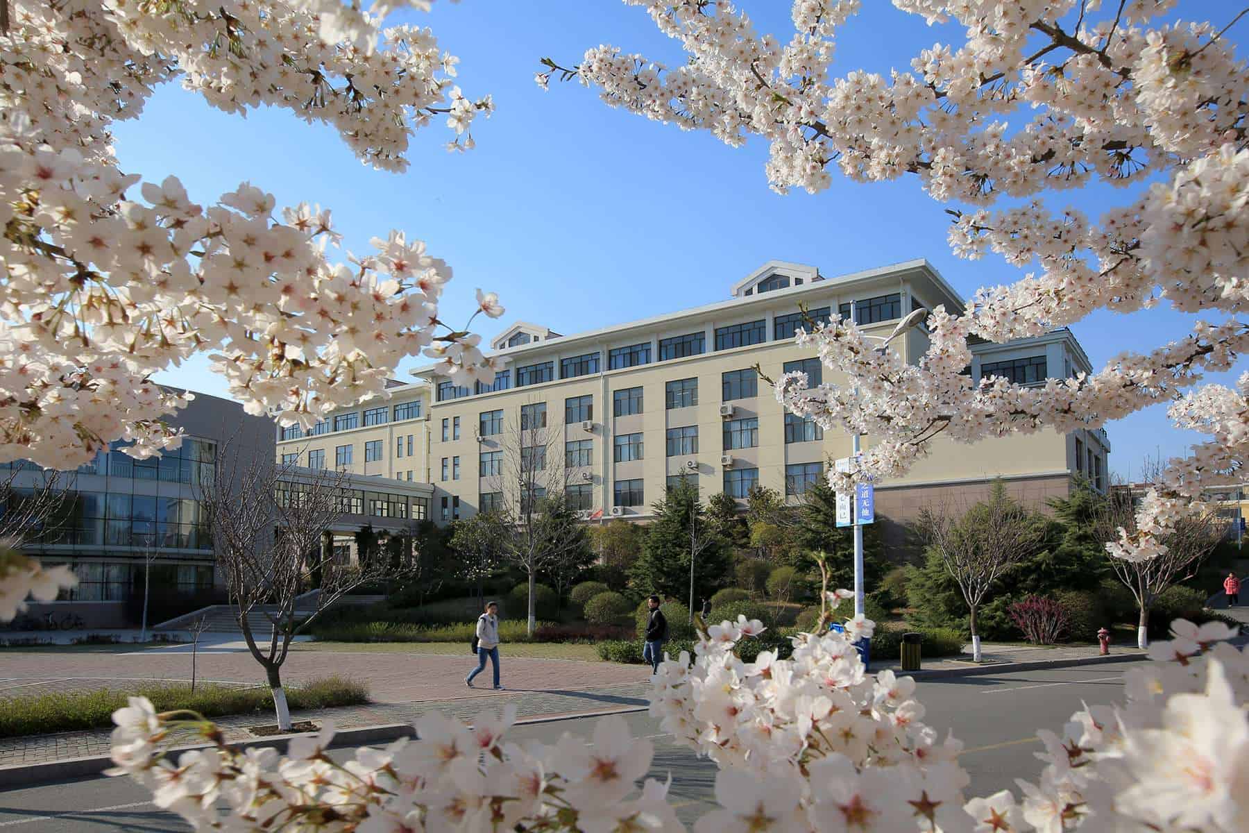 Ocean University of China flowers and building