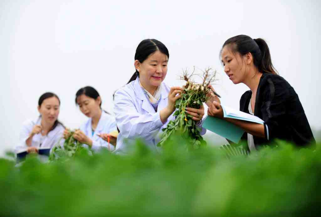 Shenyang Agricultural University Students and Teachers