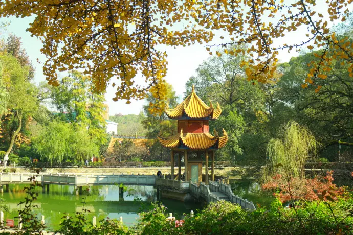 Hunan Normal University Balcony