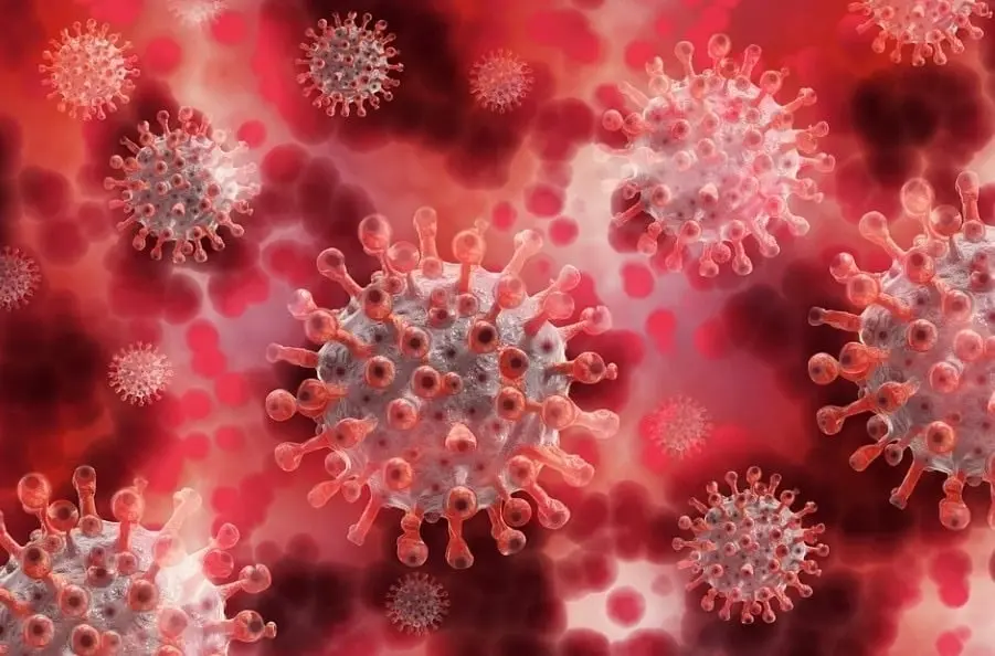 HMPV Pathogen