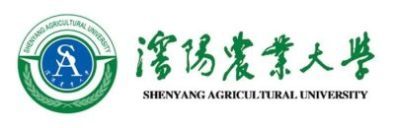Shenyang Agricultural University: Rankings, Admissions and Scholarships