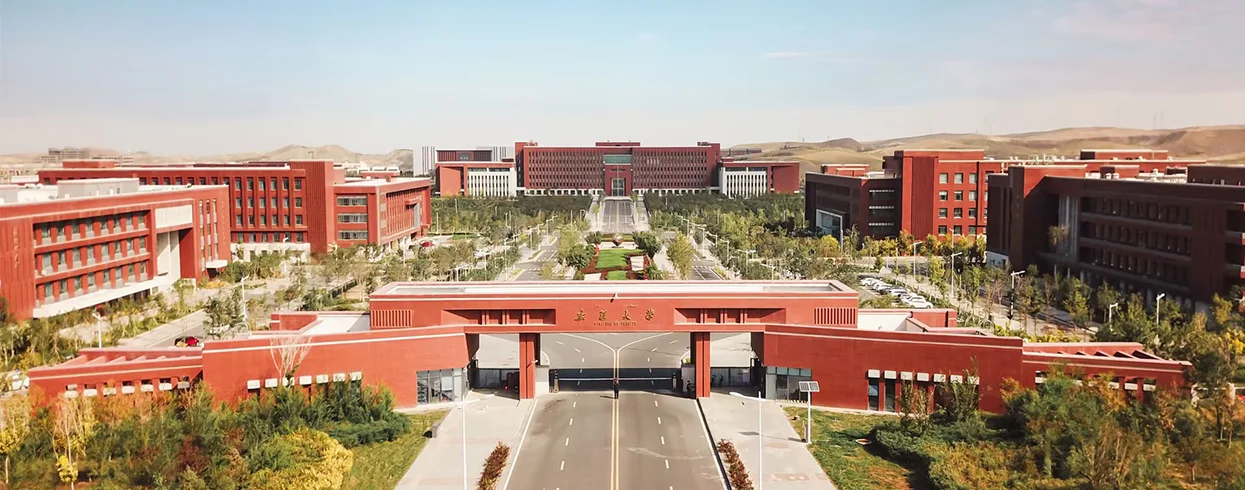 Xinjiang University Skyview