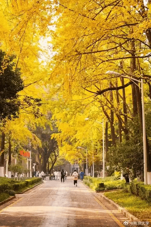 nanjing china university 