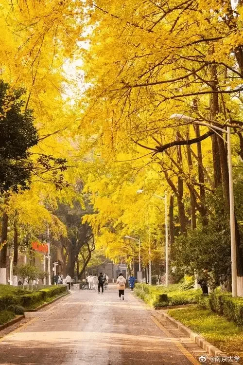 nanjing china university 