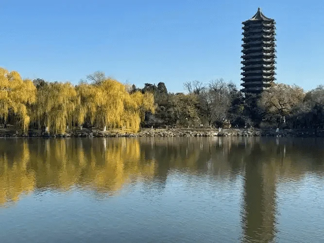 peking china university 