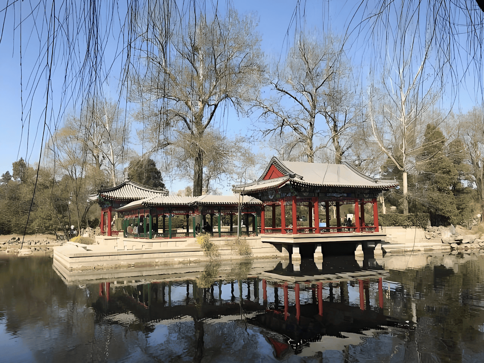 peking china university 