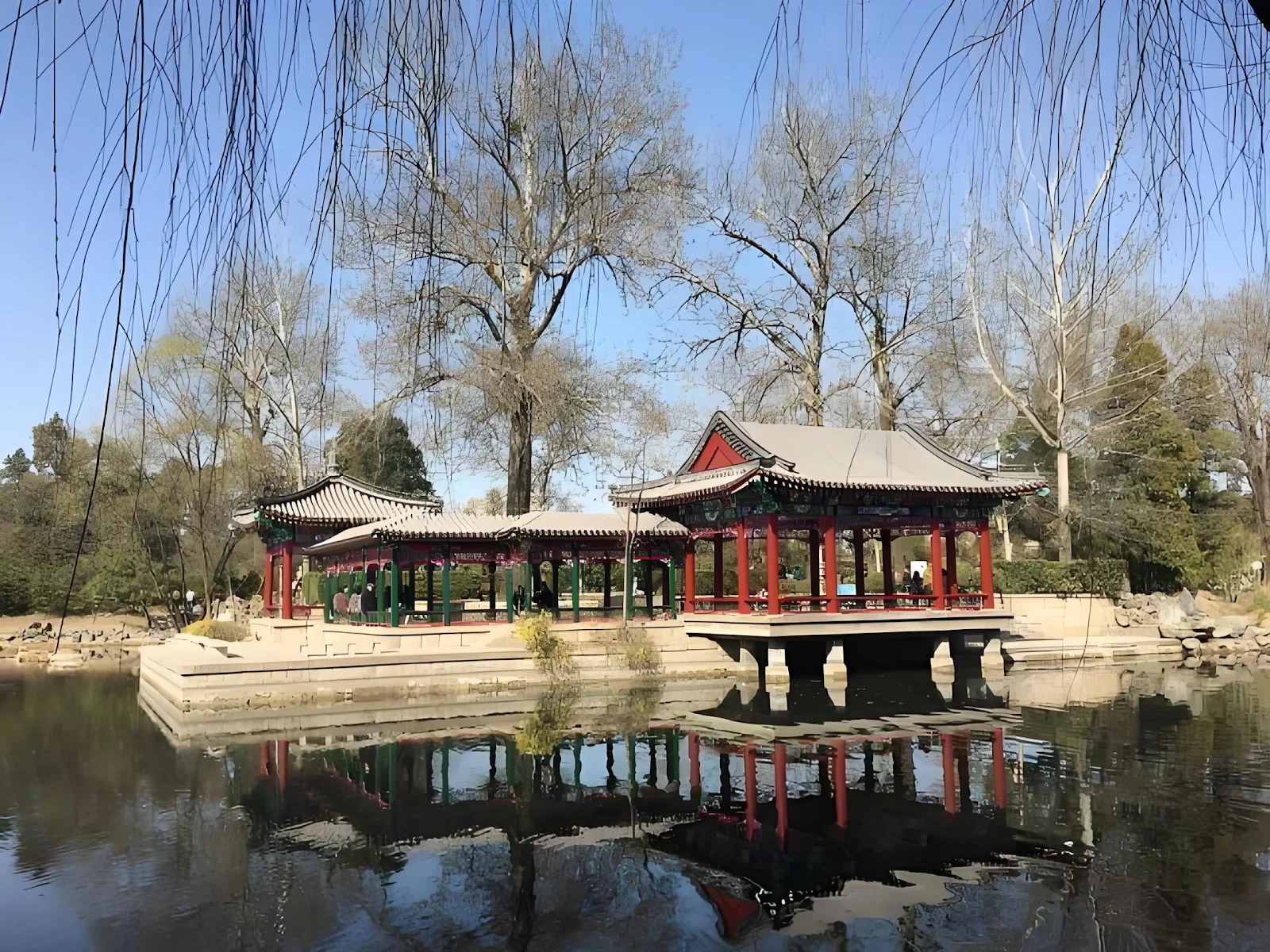 peking china university 