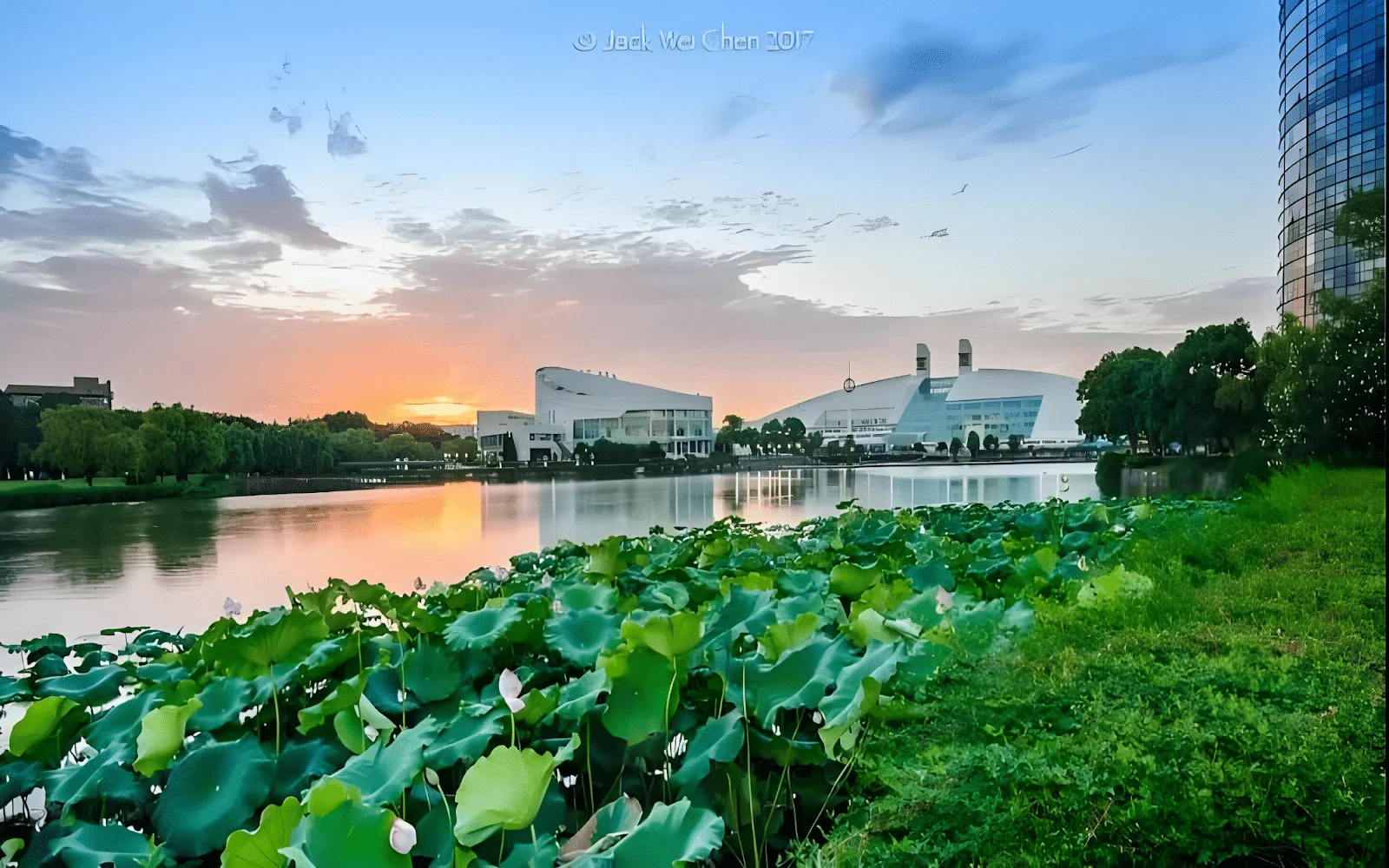 zhejiang china university 