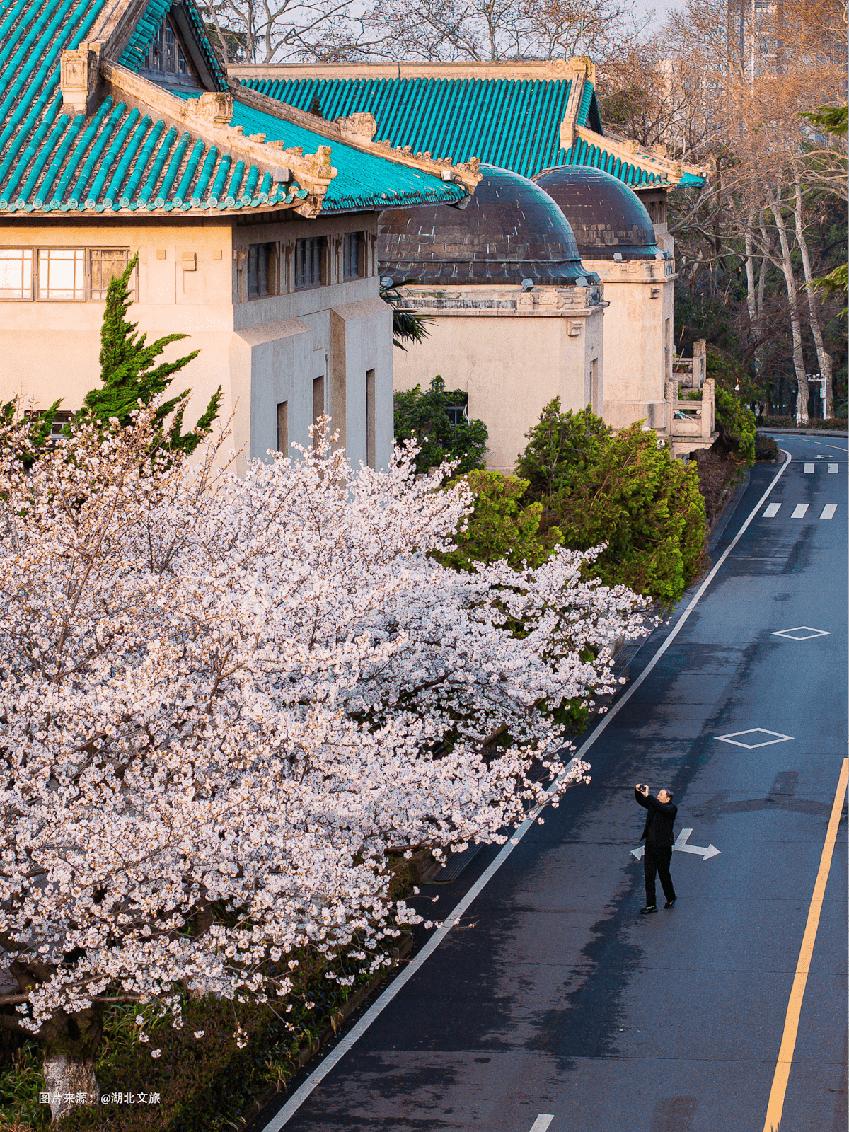 wuhan china university 