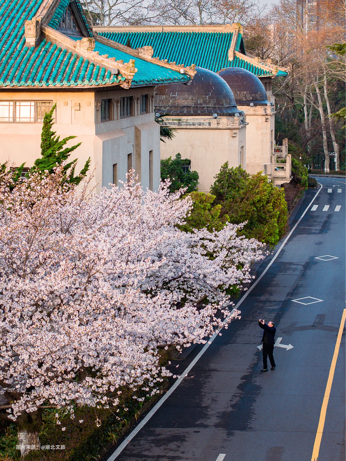 wuhan china university 