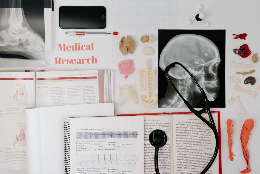Flat lay of medical research materials including textbooks, an X-ray image, anatomical models, a stethoscope, and a smartphone.