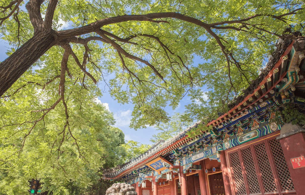 Peking university ancient style front gate