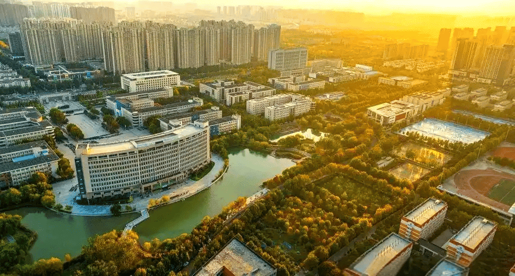 Chinese university landscape